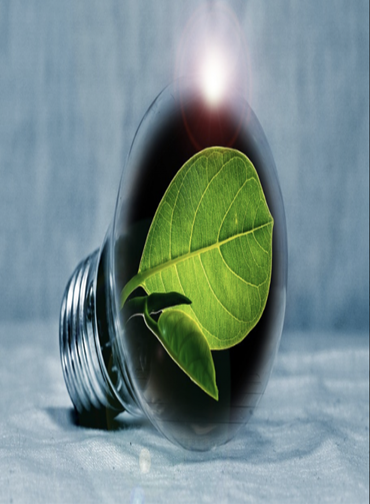 green-1-1.png